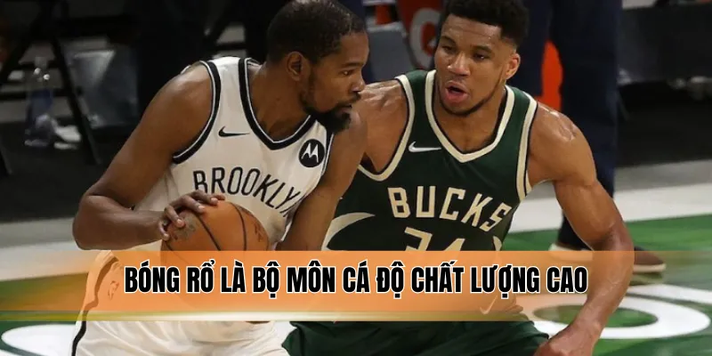 Bóng rổ là bộ môn cá độ chất lượng cao.