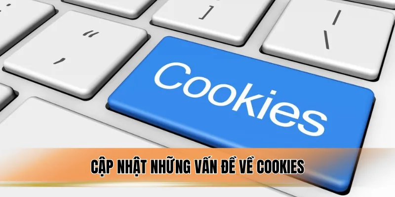 Cập nhật những vấn đề về cookies.